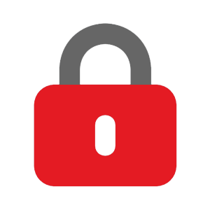 business-security lock icon